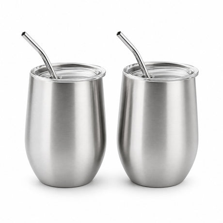 RVS Cocktail Bekers met Rietje – 2 stuks - My Green Deal